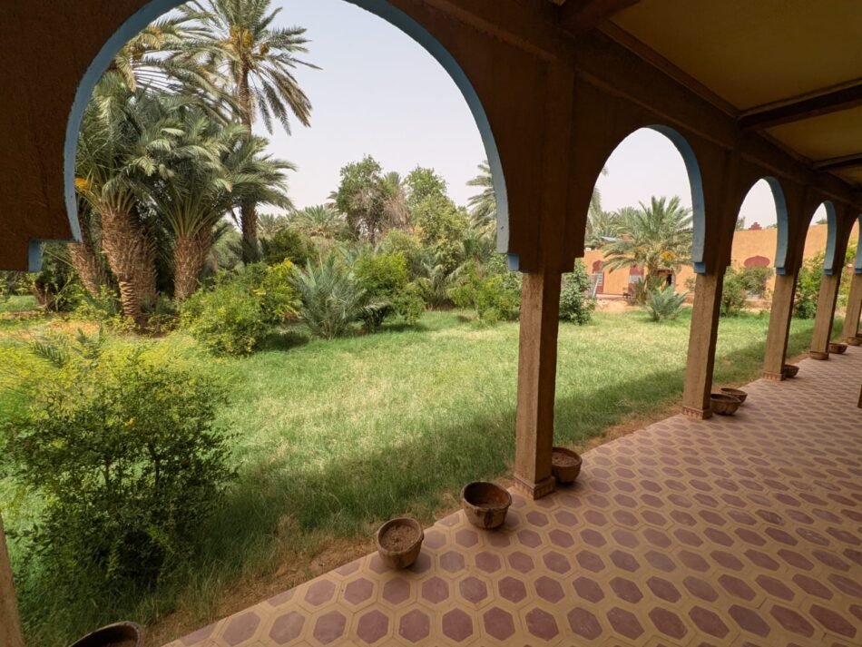 Séjour Nature : Entre Palmeraies, Silence et Étoiles