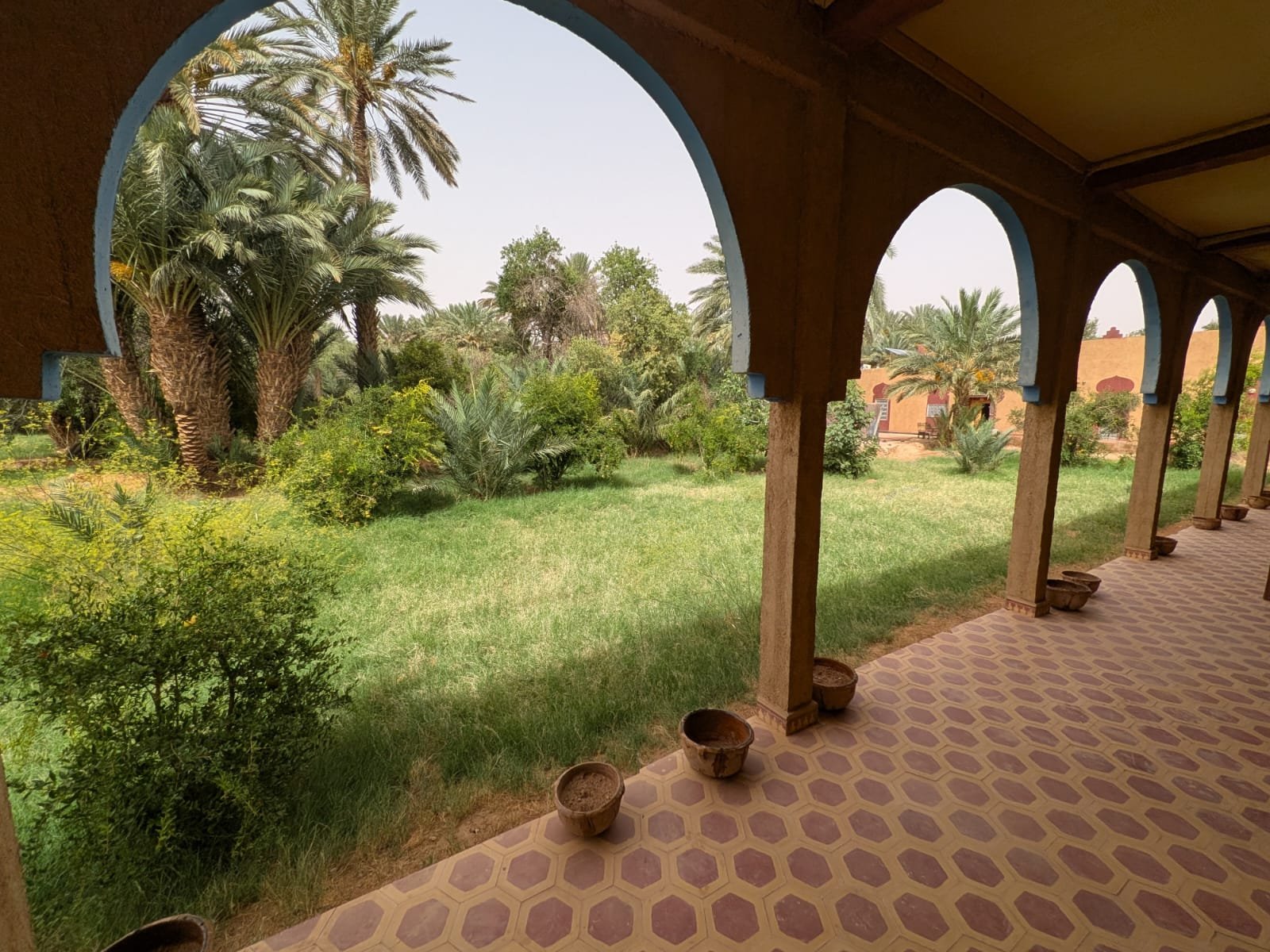 Séjour Nature : Entre Palmeraies, Silence et Étoiles